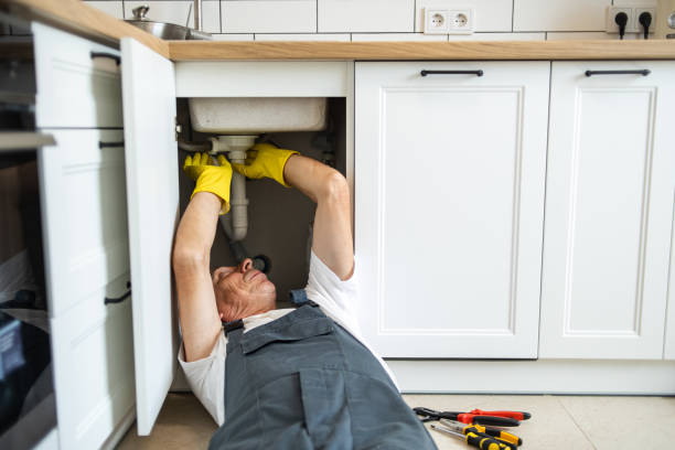Best Plumbing Services Near Me  in Elmhurst, IL