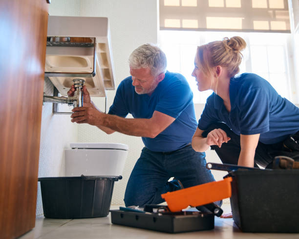 Best Affordable Plumber Near Me  in Elmhurst, IL